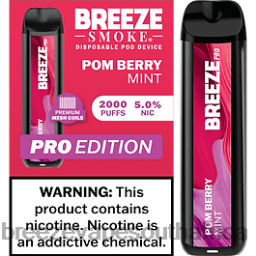 Breeze Vape 6000 Puffs | Breeze Pro 2000 Puffs Pom Berry Mint 6L6DH17