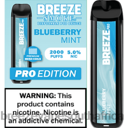 Blueberry Mint