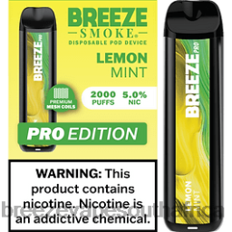 Breeze Vape Cost | Breeze Pro 2000 Puffs Lemon Mint 6L6DH23