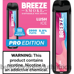 Breeze Vape Flavors | Breeze Pro 2000 Puffs Lush Ice 6L6DH22