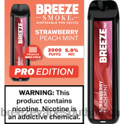 Breeze Vape Flavors | Breeze Pro 2000 Puffs Strawberry Peach Mint 6L6DH12