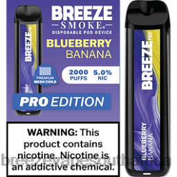 Blueberry Banana