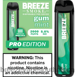 Breeze Vape Ingredients | Breeze Pro 2000 Puffs Gum Mint 6L6DH24