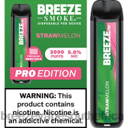 Breeze Vape Ingredients | Breeze Pro 2000 Puffs Straw Melon 6L6DH14