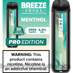 Breeze Vape Near Me | Breeze Pro 2000 Puffs Menthol 6L6DH21