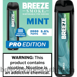 Breeze Vape South Africa | Breeze Pro 2000 Puffs Mint 6L6DH20